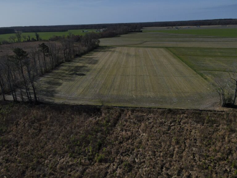 32.3 acres of farmland purchased by Dreamify Properties in Perquimans County, NC