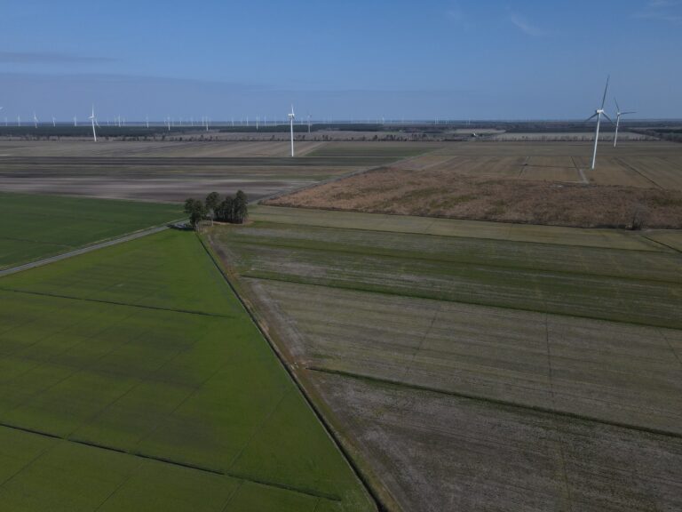 32.3 acres of farmland purchased by Dreamify Properties in Perquimans County, NC