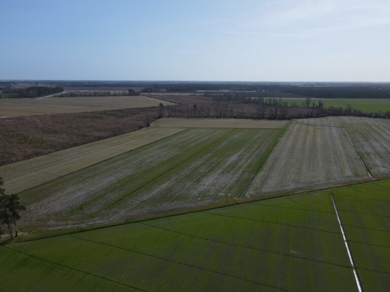 32.3 acres of farmland purchased by Dreamify Properties in Perquimans County, NC